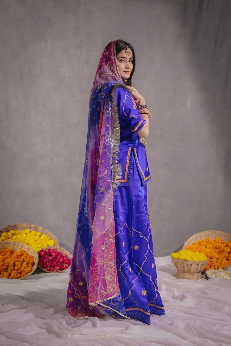 110+ Rajputi Poshak Captions for Instagram (Royal, Regal & Hindi)