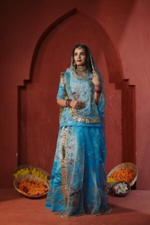 Member Saatan Jardoji Poshak - Dark to Light Firoji